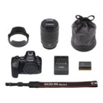 دوربین عکاسی کانن Canon EOS R6 Mark II Mirrorless Camera with 24-105mm f/4L Lens - تصویر 2