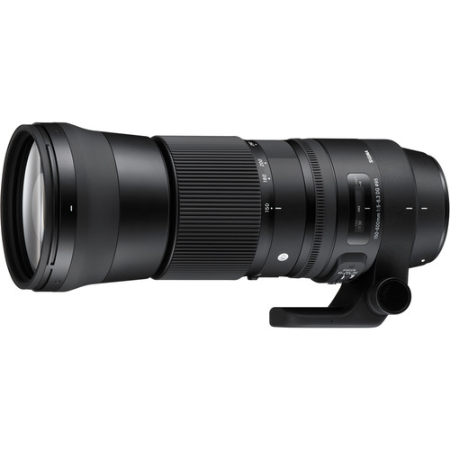 Sigma-150-600mm-f5-6.3-DG-OS-HSM-Contemporary-Lens-for-Canon-EF-01 لنز سیگما مانت کانن Sigma 150-600mm f/5-6.3 DG OS HSM Sports Lens for Canon EF - تصویر 1