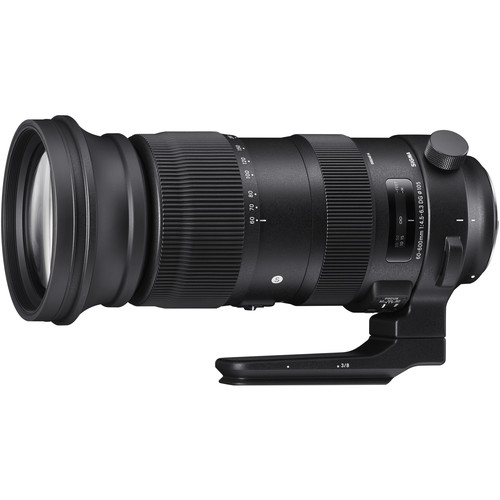 Sigma-60-600mm-f4.5-6.3-DG-OS-HSM-Sports-Lens-Nikon-F-01 Sigma 60-600mm f/4.5-6.3 DG OS HSM Sports Lens (Nikon F) - تصویر 1