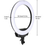 رینگ لایت Ring Light Fill ZD666 - تصویر 2